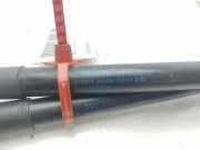 Gasdruckfeder Set Vorne 51232990344 BMW X1 (E84) SUV sDrive 20d 2.0 16V (N47-D20C)
