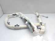 Vorhang Airbag Links VOOR VOOR 985P13017R Renault IV BERLINA 5P Tech Road 90 CV / 66 KW