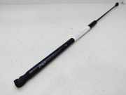 Gasdruckfeder Set Vorne 3B0823359D Volkswagen Passat (3B3) Limousine 1.9 TDI 130 (AVF)