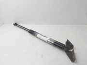 Gasdruckfedern Set Hinten 714604021000 SsangYong Rodius Großraumlimousine 2.7 270 Xdi 20V 4x2 (M665.925(Euro 4))