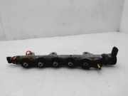 Einspritzdüsen Düsenstock 8200842432 Renault Laguna Coupé (DT) Coupé 2.0 dCi 16V 150 (M9R-858)