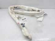 Vorhang Airbag Links VOOR VOOR 985P13017R Renault IV BERLINA 5P Tech Road 132 CV / 97 KW