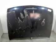 Motorhaube P96FG16612BA Ford Fiesta 4 Schrägheck 1.25 16V (DHA)