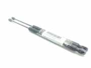 Gasdruckfedern Set Hinten 4L0827552C Audi Q7 (4LB) SUV 4.2 FSI V8 32V (BAR)