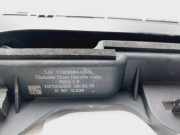 Türgriff Außen Links Hinten 178088400A Tesla Model 3 Limousine RWD 60 kWh (3D7)