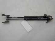 Gasdruckfedern Set Hinten 6896002170 Toyota Auris (E18) Schrägheck 5-drs 1.8 16V Hybrid (2ZRFXE)