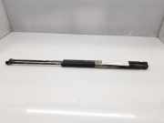 Gasdruckfedern Set Hinten 8178025200 Hyundai (LC) GLS CRDi 82 CV / 60 KW