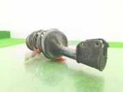 Stoßdämpfer Links Vorne 8200662265 Renault Clio II (BB/CB) Schrägheck 1.2 (D7F-726)