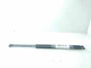 Gasdruckfedern Set Hinten 51243400379 BMW X3 (E83) SUV xDrive20d 16V (N47-D20A)