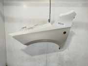 Kotflügel Links Vorne 5JA821021C Skoda Rapid Liftback 1.6 TDI 16V (CAYC)