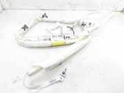 Vorhang Airbag Links VOOR BJ3214K160AB Land + Range Rover LAND ROVER EVOQUE Dynamic 190 CV / 140 KW