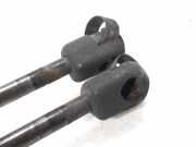 Gasdruckfedern Set Hinten 8P4827552B Audi A3 Sportback (8PA) Schrägheck 5-drs 1.9 TDI (BKC)