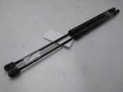 Gasdruckfedern Set Hinten A1699800964 Mercedes-Benz B (W245) Schrägheck 2.0 B-180 CDI 16_V (OM640.940)