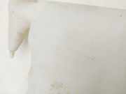 Scheibenwaschbehälter 8A6117B613AG Ford Fiesta 6 (JA8) Schrägheck 1.25 16V (SNJD)