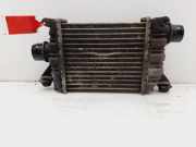 Ladeluftkühler 14461BN700 Nissan Almera (N16) Schrägheck 1.5 dCi (K9K-722)