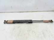 Gasdruckfedern Set Hinten 844308661R Renault IV Business 75 CV / 55 KW