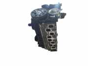 Zylinderkopf 038103373R Volkswagen Passat (3B3) Limousine 1.9 TDI 130 (AVF)