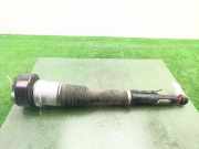 Stoßdämpfer Links Hinten 2213205513 Mercedes-Benz S (W221) Limousine 5.5 S-550 32V (M273.961)