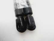 Gasdruckfedern Set Hinten A2208800329 Mercedes-Benz S (W220) Limousine 3.2 S-320 CDI (OM648.960)