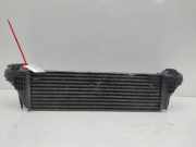 Ladeluftkühler 17512247966 BMW X5 (E53) SUV 3.0d 24V (M57-D30(306D1))