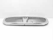 Grill 100420XXX Rover 45 Limousine 1.6 16V (16K4F)