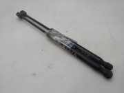 Gasdruckfedern Set Hinten 902114A00D Nissan Pixo Schrägheck 1.0 12V (K10B)