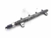 Einspritzdüsen Düsenstock 6H4Q9D280AB Land + Range Rover Range Rover Sport (LS) Geländewagen 3.6 TDV8 32V (368DT)