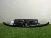 Grill 9628934280 Peugeot 206 CC (2D) Cabrio 1.6 16V (TU5JP4(NFU))