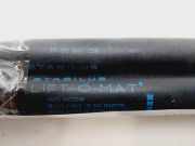 Gasdruckfedern Set Hinten 7700842256 Renault Clio II (BB/CB) Schrägheck 1.2 (D7F-746)