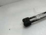 Gasdruckfedern Set Hinten A1699800864 Mercedes-Benz B (W245) Schrägheck 2.0 B-200 CDI 16V (OM640.941)