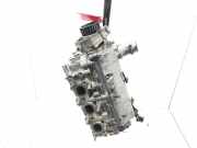 Zylinderkopf P9X701 Renault Vel Satis (BJ) Großraumlimousine 3.0 dCi V6 24V (P9X-701)