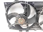Kühlerventilator 214875L700 Nissan Almera (N16) Schrägheck 2.2 Di 16V (YD22)