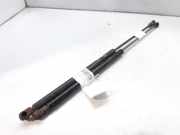 Gasdruckfedern Set Hinten 873193 Peugeot 306 BERLINA 3/4/5 PUERTAS (S2) Style 68 CV / 50 KW