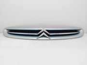 Grill 9632099177 Citroën Xsara Picasso (CH) Großraumlimousine 2.0 HDi 90 (DW10TD(RHY))