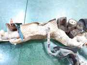 Lenkgetriebe 8200430195 Renault Laguna II (BG) Schrägheck 5-drs 1.9 dCi 110 (F9Q-758)