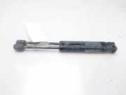 Gasdruckfeder Set Vorne 55352897AB Jeep Grand Cherokee (WG/WJ) SUV 3.1 TDI (665.921)