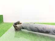 Kardanwelle 3320021850 SsangYong Rodius Großraumlimousine 2.0 e-200 Xdi 16V 2WD (D20DTR)