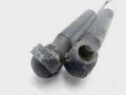 Gasdruckfedern Set Hinten 9647295380 Citroën C4 Coupé (LA) Schrägheck 3-drs 1.4 16V (ET3J4(KFU))