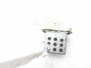 Heizwiderstand D6064002 Opel Movano (4A1; 4A2; 4B2; 4B3; 4C2; 4C3) Van 2.5 CDTI 16V DPF (G9U-650)