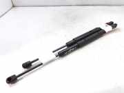 Gasdruckfeder Set Vorne 2518800129 Mercedes-Benz R (W251) Großraumlimousine 3.0 320 CDI 24V 4-Matic (OM642.950)