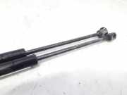 Gasdruckfedern Set Hinten 8178006011 Hyundai Atos Schrägheck 1.1 12V (G4HG)