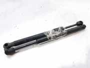 Gasdruckfedern Set Hinten 4F5827552B Audi A6 (C6) Limousine 2.4 V6 24V (BDW)