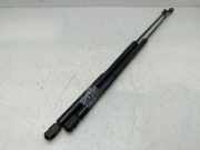 Gasdruckfedern Set Hinten 08585650 Citroën C4 Grand Picasso (UA) Großraumlimousine 1.6 HDiF 16V 110 (DV6C(9HR))