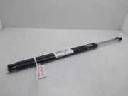 Gasdruckfedern Set Hinten 8200021974 Renault Espace (JK) Großraumlimousine 2.0 dCi 16V 150 FAP (M9R-762)