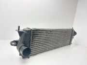 Ladeluftkühler 8200411160 Renault Trafic New (FL) Van 2.0 dCi 16V 115 (M9R-630(M9R-A6))