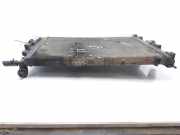Radiator 8200357536A Renault Scénic II (JM) Großraumlimousine 1.9 dCi 120 (F9Q-812)