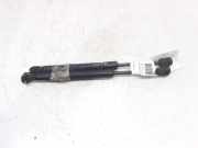 Gasdruckfedern Set Hinten 8731J6 Peugeot 407 SW (6E) Kombi 2.0 HDiF 16V (DW10BTED4(RHR))