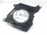 Nebelscheinwerfer Links Vorne 89210011 Porsche Cayenne (9PA) SUV 4.8 V8 32V S (M48.01)