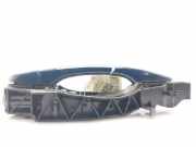 Türgriff Außen Ra 9802977180 Citroën C4 Picasso (3D/3E) Großraumlimousine 1.6 BlueHDI 120 (DV6FC(BHZ))