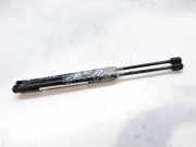 Gasdruckfedern Set Hinten 81240035 Renault Clio II (BB/CB) Schrägheck 1.4 (E7J-780)